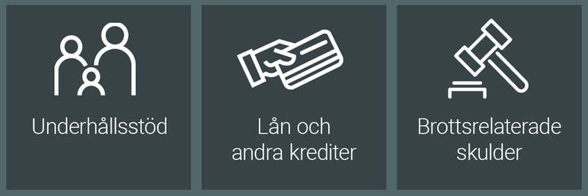 Underhållsstöd, lån och andra krediter, brottsrelaterade skulder.