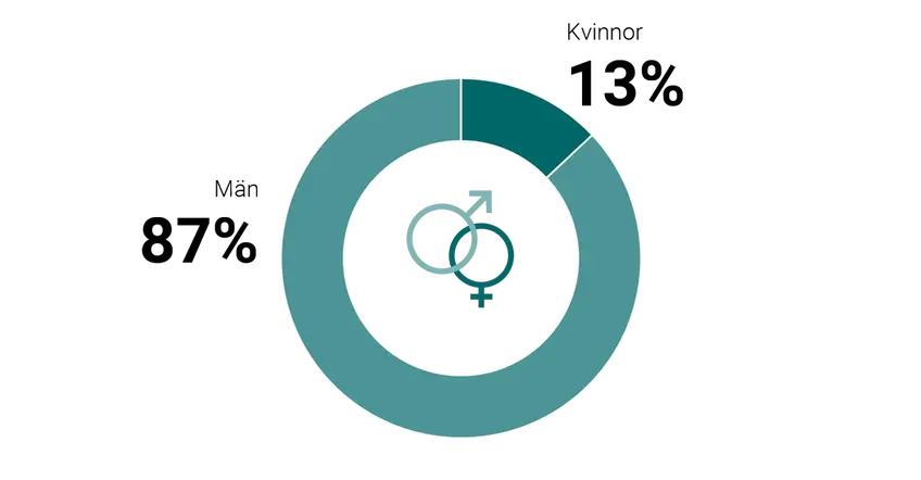 Cirkeldiagram som visar könsfördelning bland skadeståndsskyldiga 2023. Män: 87 %. Kvinnor: 13 %.