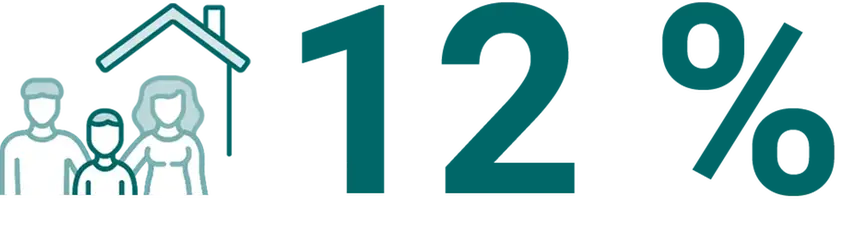 12 %
