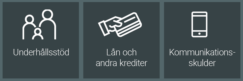 Underhållsstöd, lån och andra krediter, kommunikationsskulder,