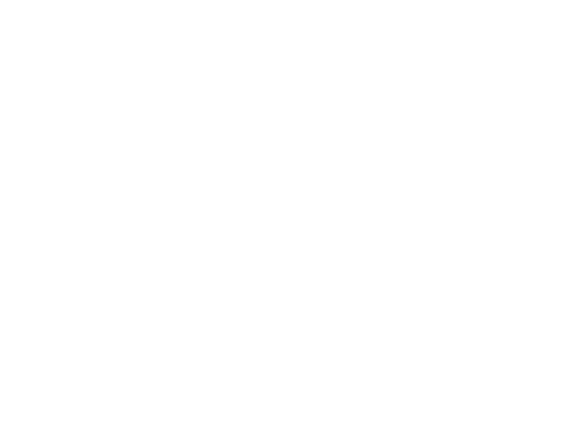Antal medarbetare: cirka 200.